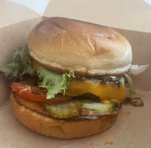   at Katzentempel in Cologne