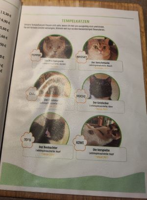  at Katzentempel in Cologne