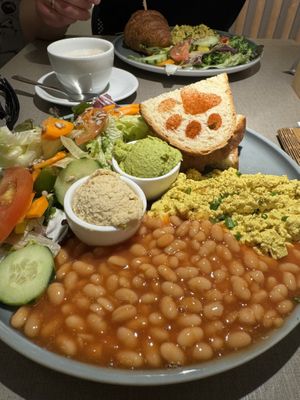   at Katzentempel in Cologne