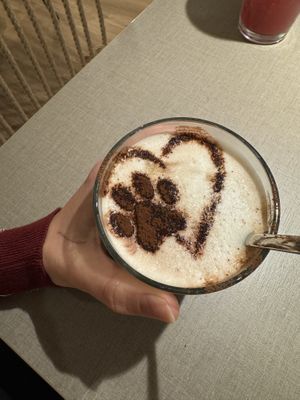   at Katzentempel in Cologne