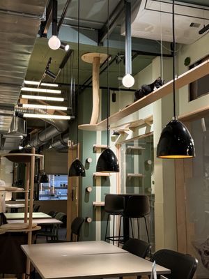   at Katzentempel in Cologne