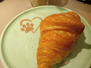 Delicious at Katzentempel in Cologne