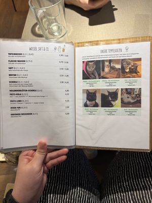   at Katzentempel in Cologne