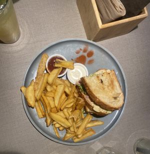   at Katzentempel in Cologne