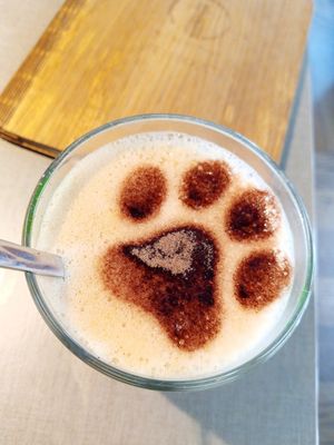 chai latte at Katzentempel in Cologne