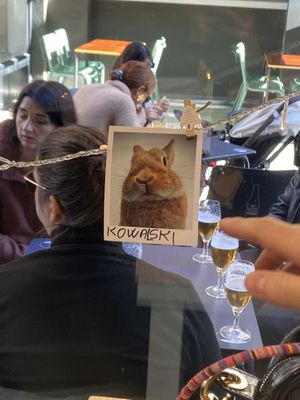   at Ruca Bocata in A Coruna