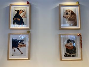   at Ruca Bocata in A Coruna