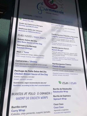 Vegan section, bottom right  at Germinación Cocina y Bistro in Santiago Atitlan