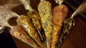 . at Candy Freaks in Amsterdam