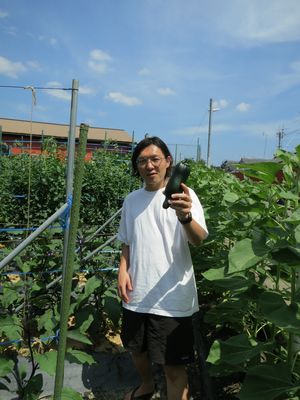 vegetable field in front of our store at Maenota  in Kyoto