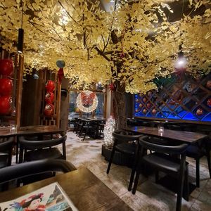 Interior at Golden Ginkgo  in Berlin