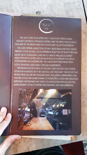 Raw vegan at Atsumi Raw Cafe in Phuket