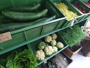 Zucchini, cauliflower, salad, beans. at Kolibri in Soenderborg