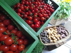 Tomatoes, potatoes and more vegetables at Kolibri in Soenderborg