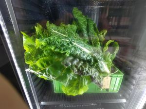 Fresh vegetables at Kolibri in Soenderborg