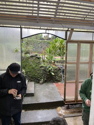   at Hot Cat  in Baguio City