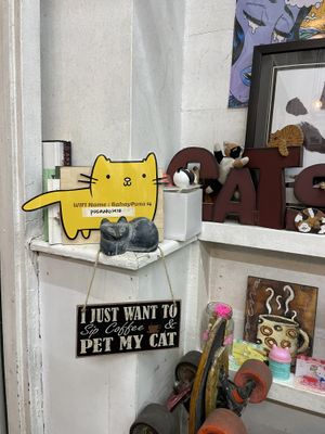   at Hot Cat  in Baguio City