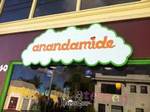 Front window of the newly opened Anandamide : Psychedelicatessen in Long Beach, CA. at Anandamide - Psychedelicatessen in Long Beach