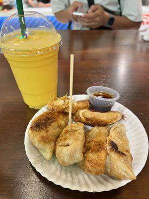Vegan gyoza. A few minutes after taking pic, plate was completely grease soaked just like the gyoza. ☹️  at Gyoza Yunnan in Chiang Mai