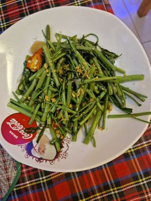 Morning glory at Kanchi in Hua Hin