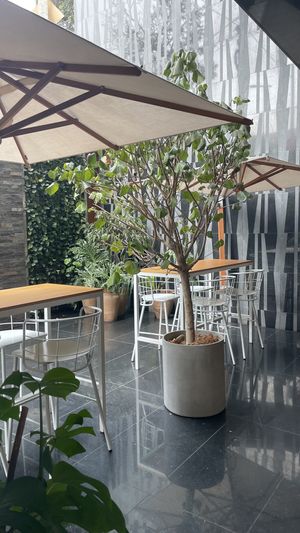 Afuera  at Gusto Creciente  in Lima