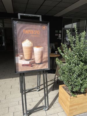   at Martin Auer in Graz