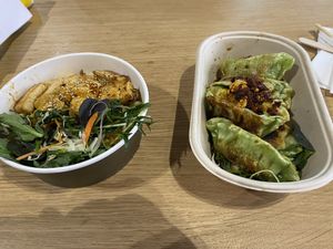 Tofu noodles and dumplings   at WLG - TJ Katsu in Wellington