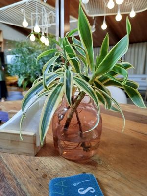  at Manu Tenório Culinaria Saudável - Boa Viagem   in Recife