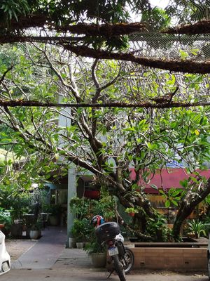  at Manu Tenório Culinaria Saudável - Boa Viagem   in Recife