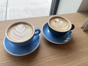 Lattes   at Dry Fly Coffee Co in New Paltz