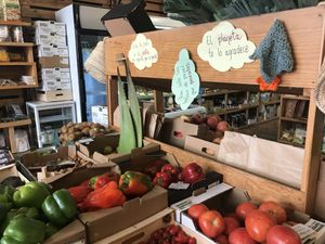 Shop at Masala Natural in Burgos