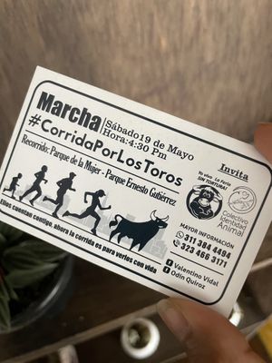 March/protest against the bull runs/fights  at Orellana in Manizales