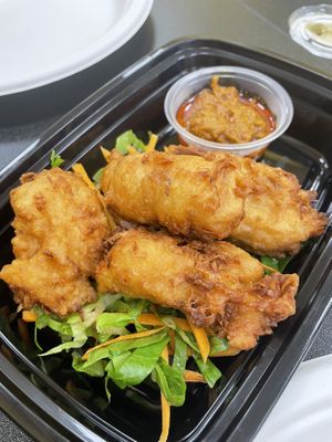   at Cisu Vegan House in Hanover