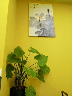  at Cisu Vegan House in Hanover