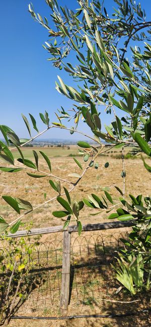  at Casa Bellavista BB in Cortona
