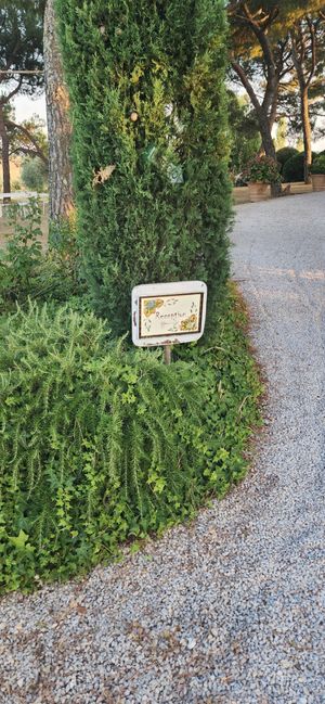  at Casa Bellavista BB in Cortona