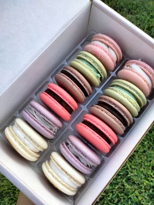  at Finally Vegan Macarons in Houston