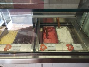 Vegan ice cream clearly marked. at Collina Positano Bakery in Positano