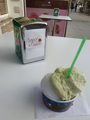 Pineapple and lemon at Sapori Di Gelato - Gelataria Artesanal in Albufeira