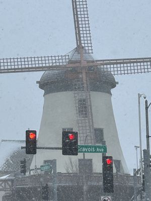 Windmill across the street.  Probably vegan, but would not advise eating.    at Vegan Deli and Butcher in St Louis