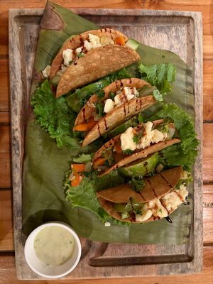   at Mr. Pelicano in Samara