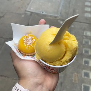   at Dulcis Gelato & Pasticcini in Cambridge