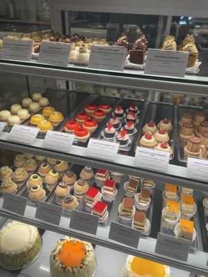   at Dulcis Gelato & Pasticcini in Cambridge