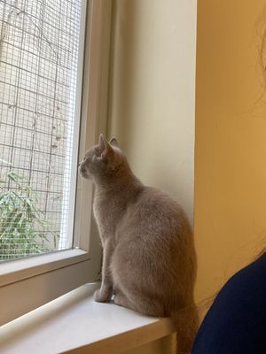 Ausblick  at Katzentempel - Bremen in Bremen