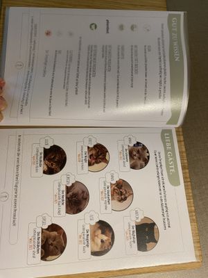 Speisekarte   at Katzentempel - Bremen in Bremen