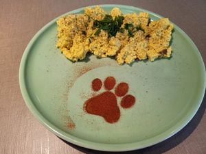  at Katzentempel - Bremen in Bremen