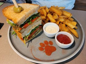  at Katzentempel - Bremen in Bremen