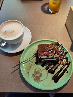  at Katzentempel - Bremen in Bremen