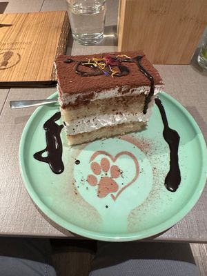  at Katzentempel - Bremen in Bremen