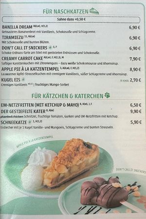   at Katzentempel - Bremen in Bremen